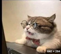 Image Not Found
